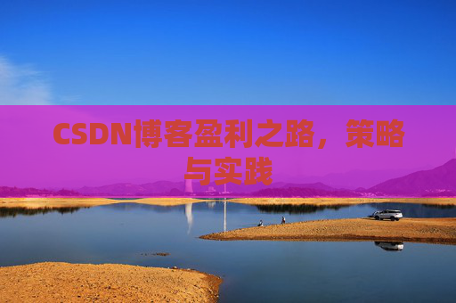 CSDN博客盈利之路，策略与实践
